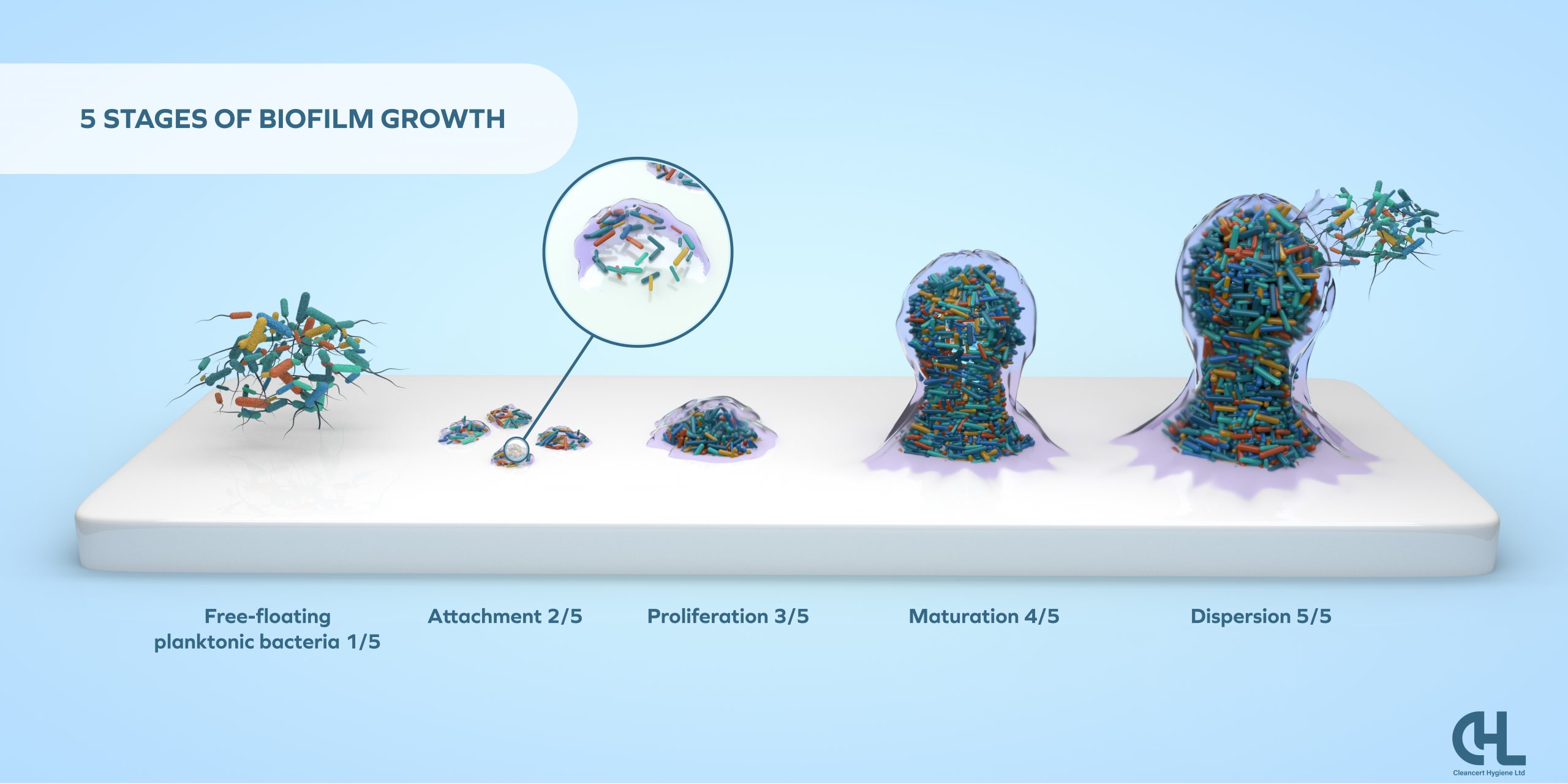 5-stages-of-biofilm-Group tackle dental biofilm