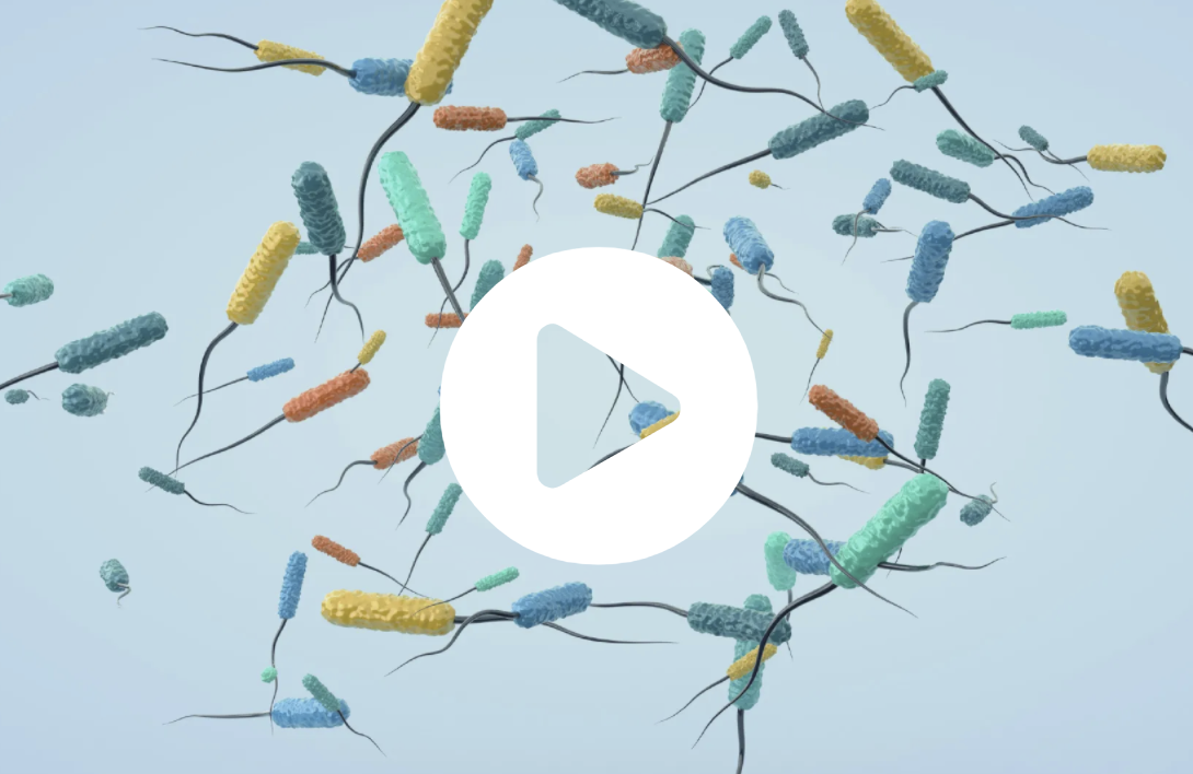 Screenshot 2021-11-19 at 15.31.39 Biofilm Contamination video