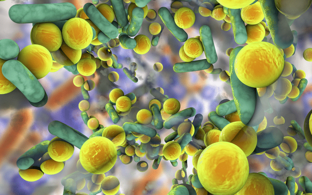 Understanding antimicrobial resistance
