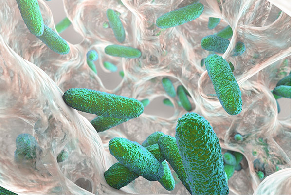 Biofilms in Dentistry: Are You Following the Science?